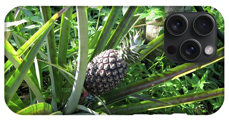 The Pineapple - Phone Case