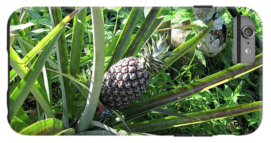 The Pineapple - Phone Case