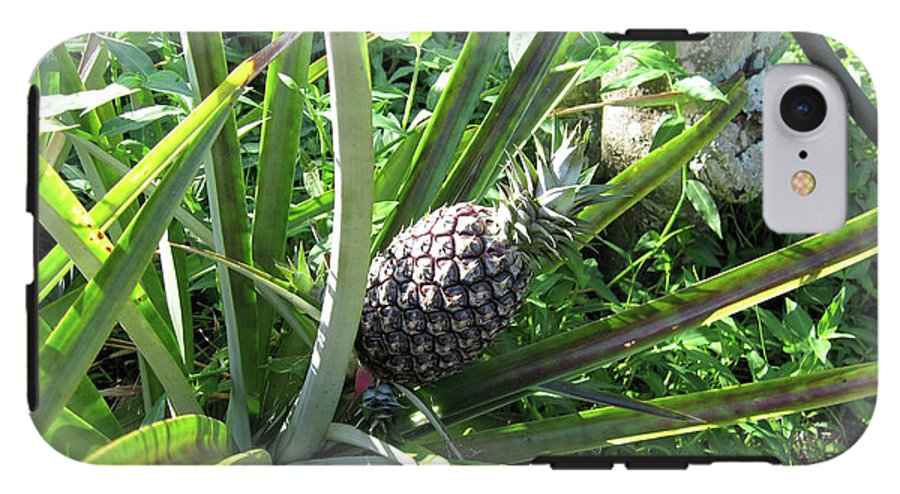 The Pineapple - Phone Case