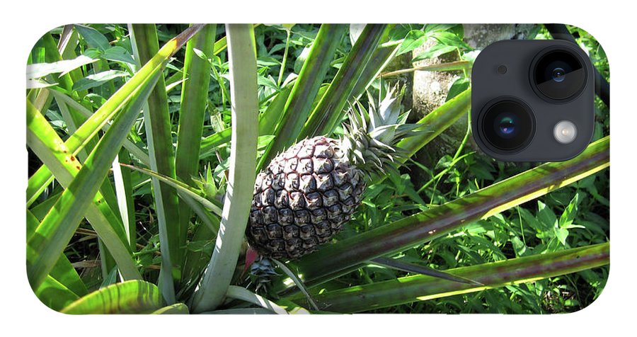The Pineapple - Phone Case