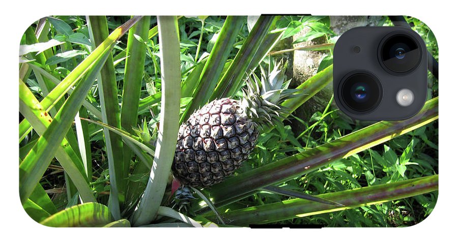 The Pineapple - Phone Case