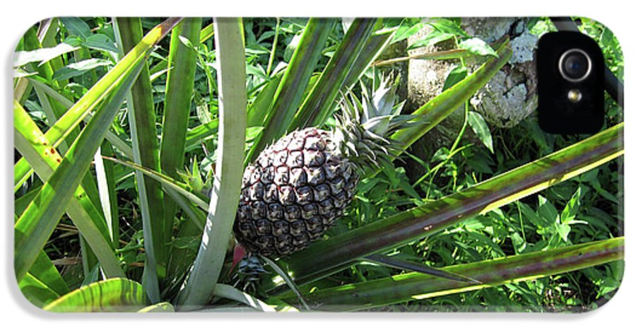 The Pineapple - Phone Case