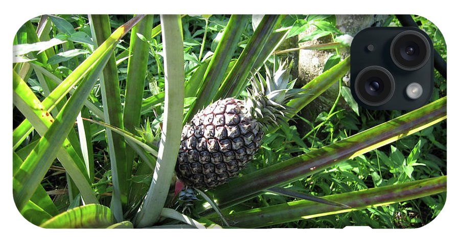The Pineapple - Phone Case