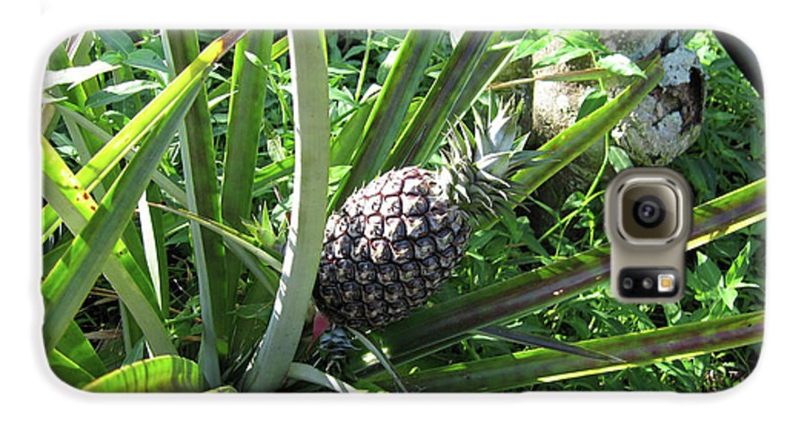 The Pineapple - Phone Case