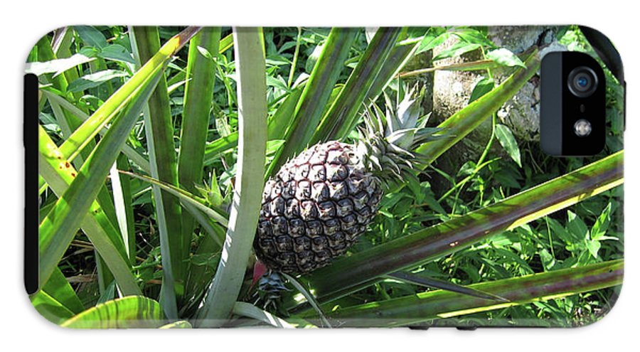 The Pineapple - Phone Case