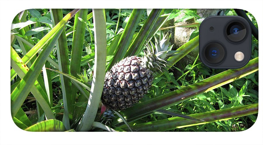The Pineapple - Phone Case