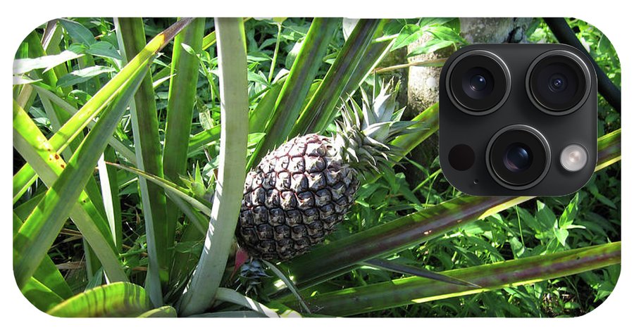 The Pineapple - Phone Case