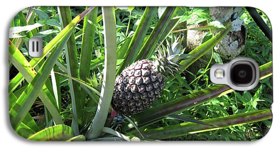 The Pineapple - Phone Case