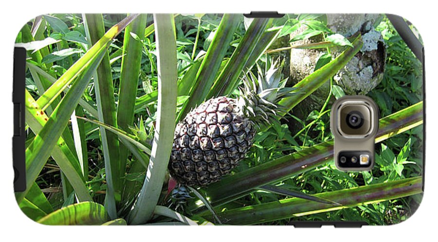 The Pineapple - Phone Case