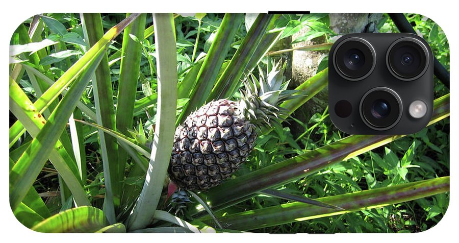 The Pineapple - Phone Case