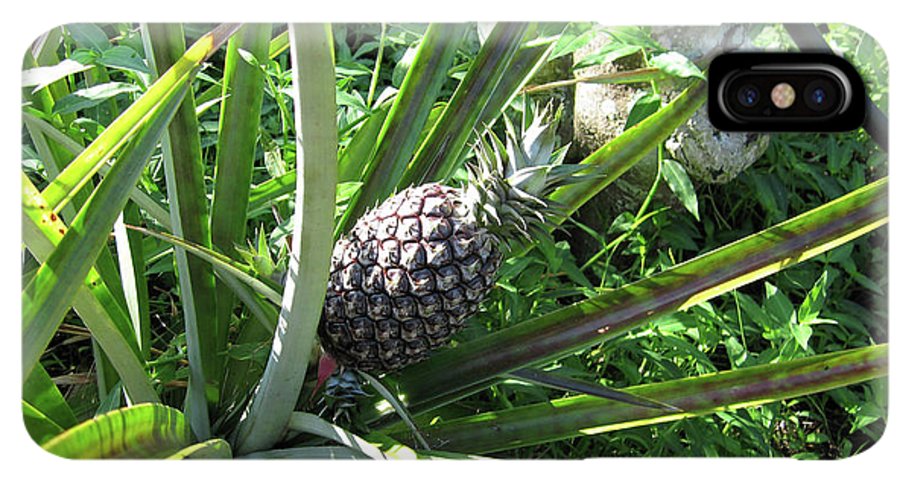 The Pineapple - Phone Case