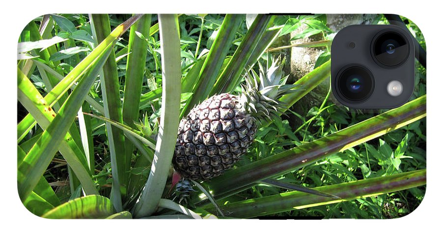 The Pineapple - Phone Case