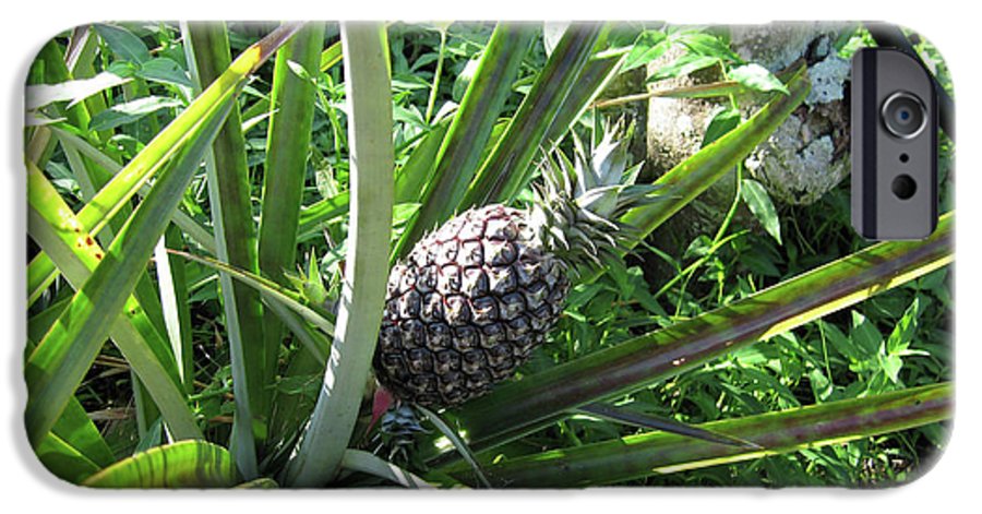 The Pineapple - Phone Case