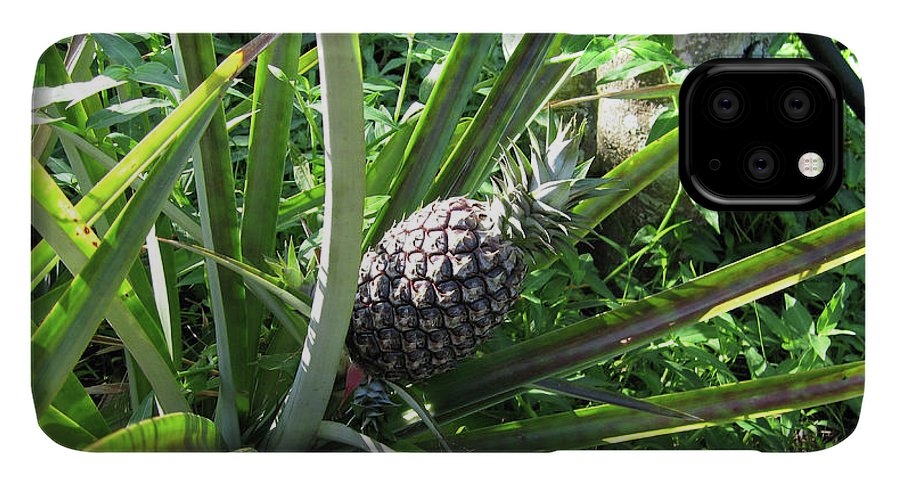 The Pineapple - Phone Case
