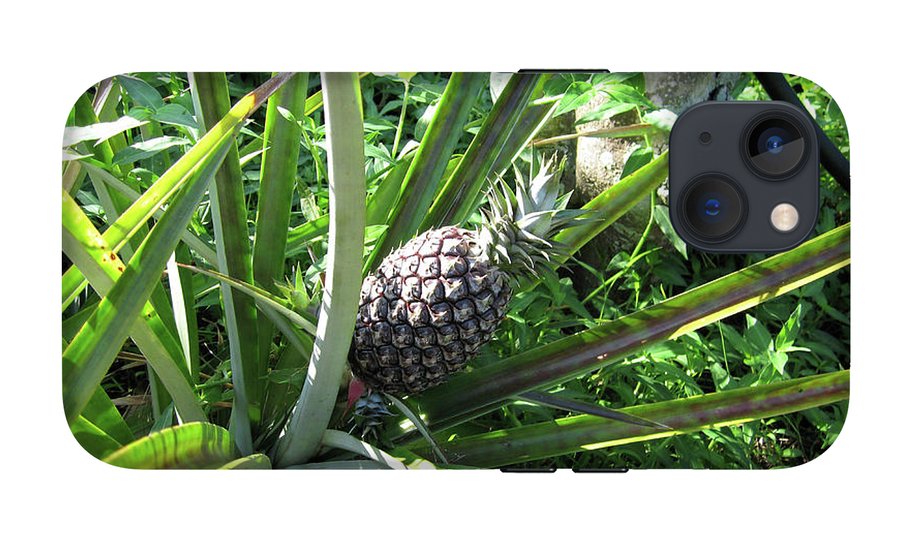 The Pineapple - Phone Case
