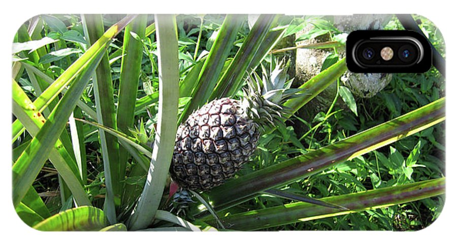The Pineapple - Phone Case