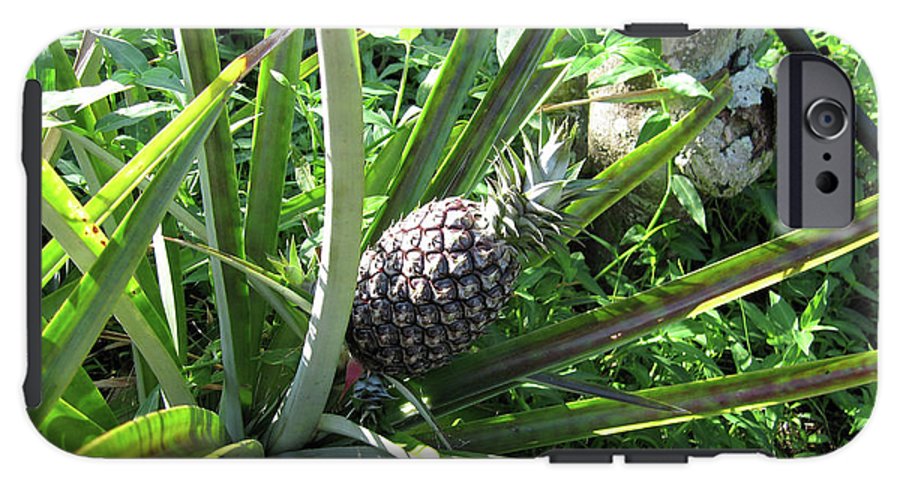 The Pineapple - Phone Case