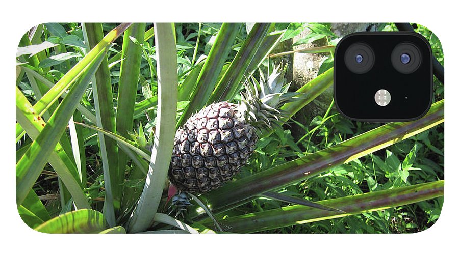 The Pineapple - Phone Case