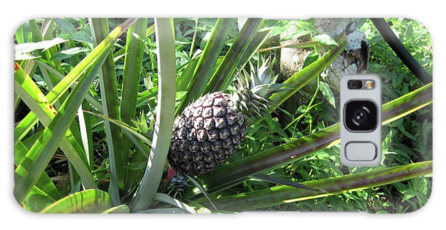 The Pineapple - Phone Case