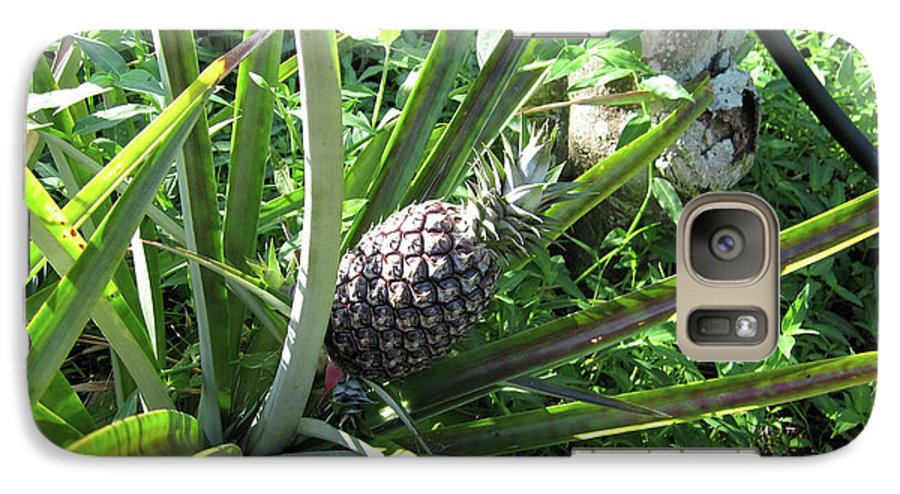 The Pineapple - Phone Case