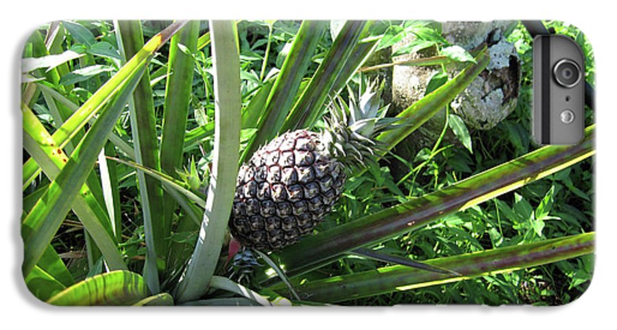 The Pineapple - Phone Case