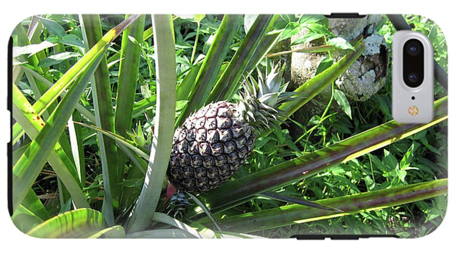 The Pineapple - Phone Case