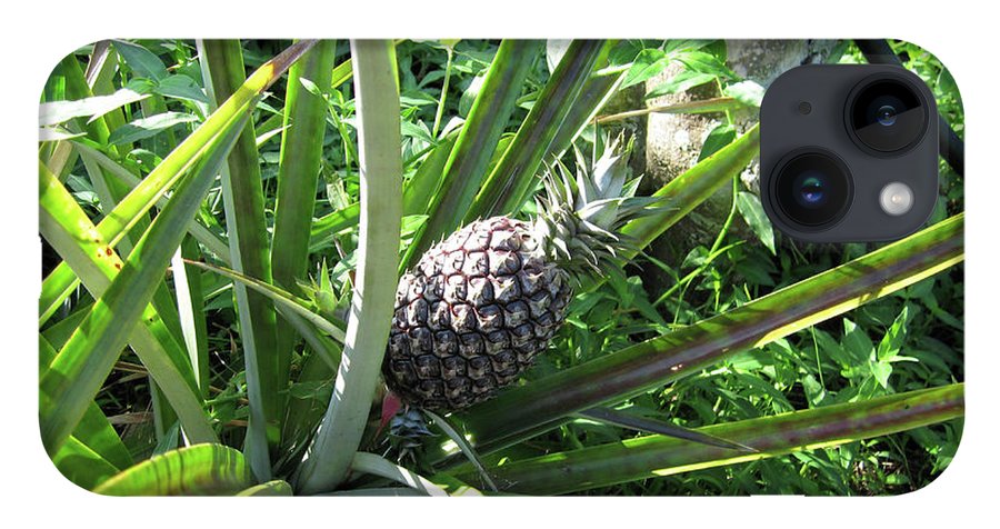 The Pineapple - Phone Case