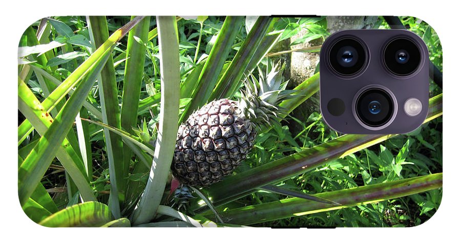 The Pineapple - Phone Case