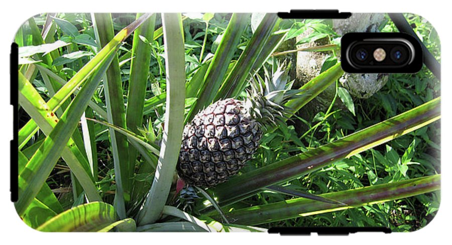 The Pineapple - Phone Case