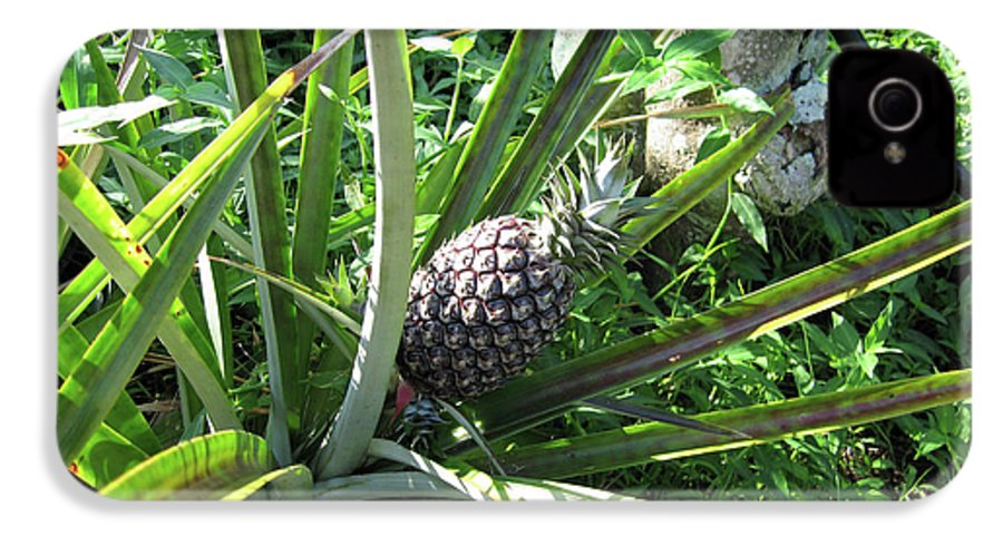 The Pineapple - Phone Case