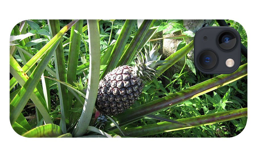 The Pineapple - Phone Case