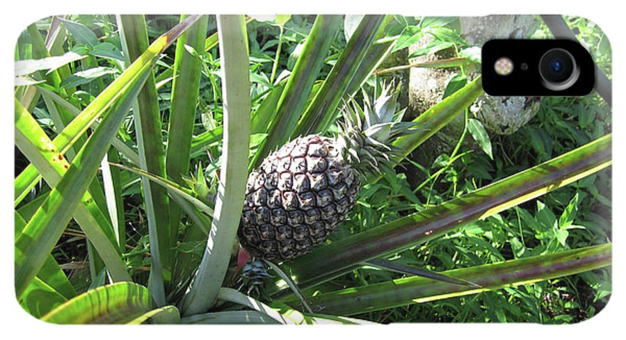The Pineapple - Phone Case