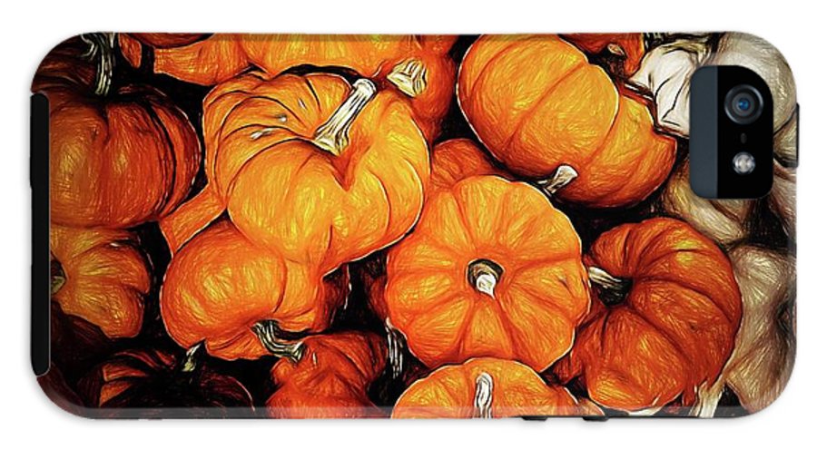 Tiny Pumpkins Pile - Phone Case