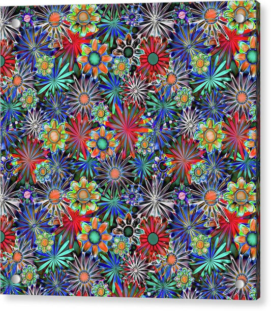 Tropical Daisies - Acrylic Print