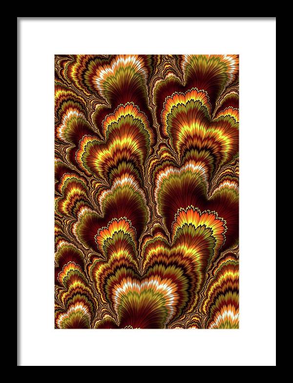 Turkey Feather Fractal - Framed Print