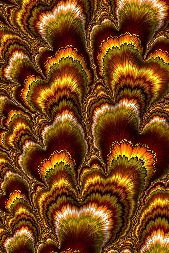 Turkey Feather Fractal Digital Image Download