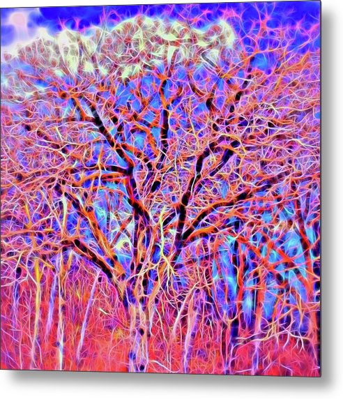 Twisted Tree - Metal Print