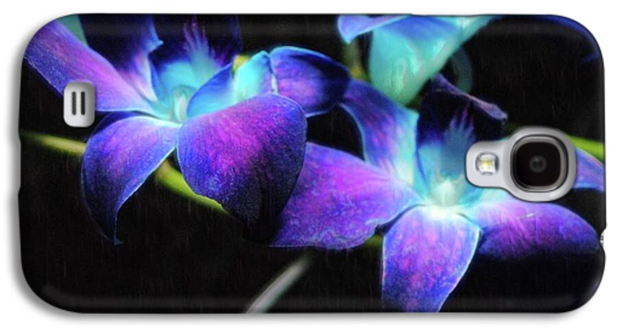 Two Purple Orchids - Phone Case