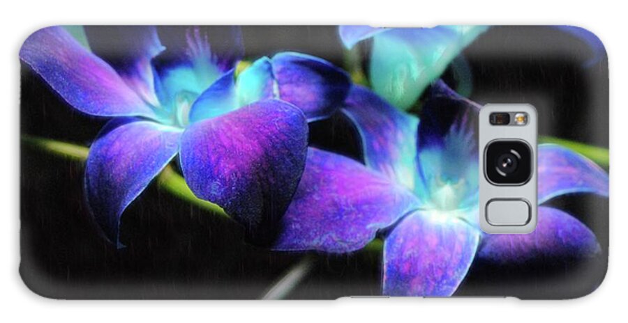 Two Purple Orchids - Phone Case