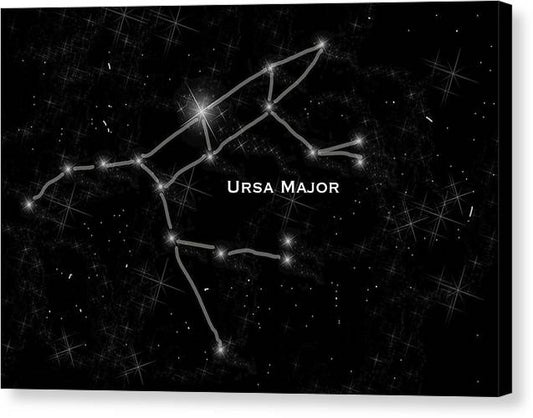 Ursa Major - Canvas Print
