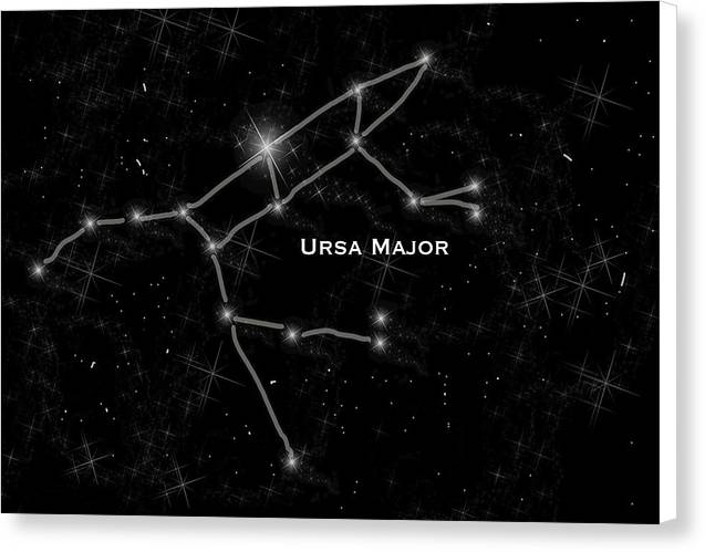 Ursa Major - Canvas Print
