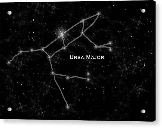 Ursa Major - Acrylic Print