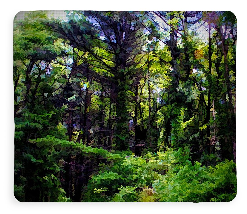 Vine Wrapped Forest - Blanket