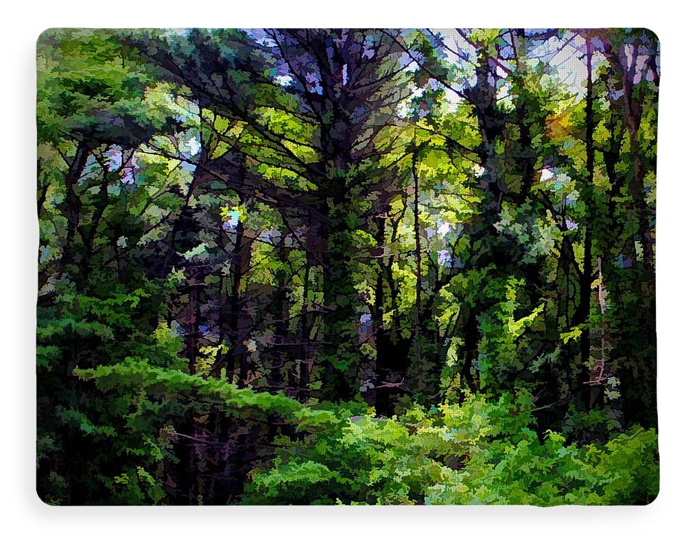 Vine Wrapped Forest - Blanket