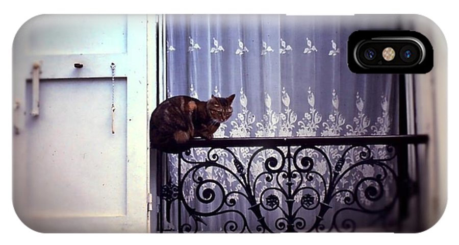 Vintage Travel Cat on a French Balcony 1967 - Phone Case
