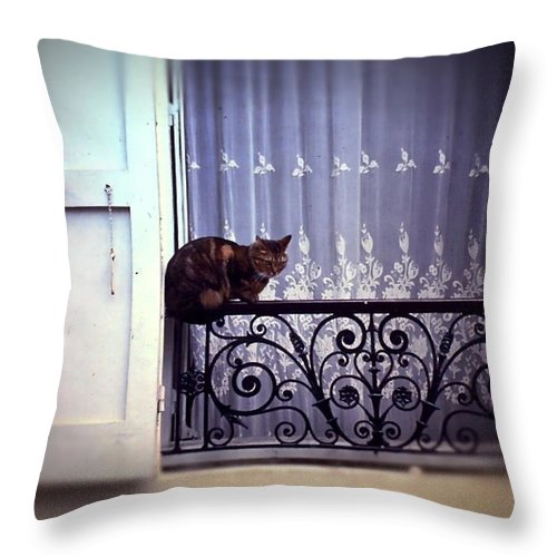 Vintage Travel Cat on a French Balcony 1967 - Throw Pillow