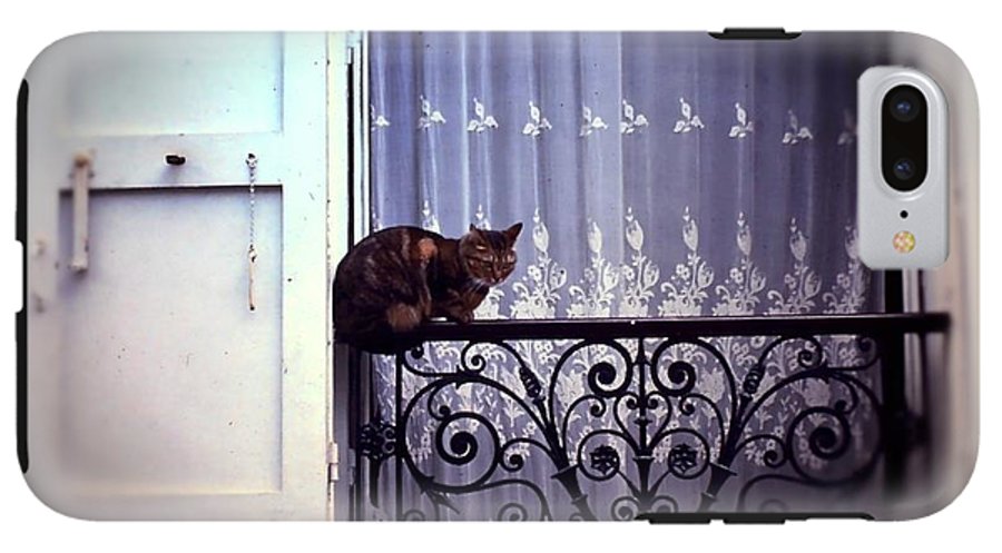 Vintage Travel Cat on a French Balcony 1967 - Phone Case