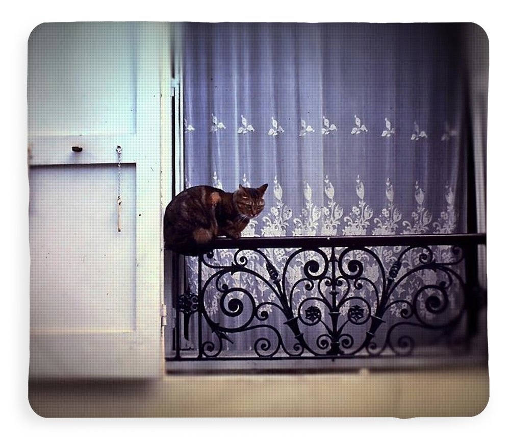 Vintage Travel Cat on a French Balcony 1967 - Blanket