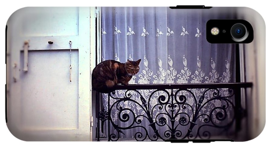 Vintage Travel Cat on a French Balcony 1967 - Phone Case