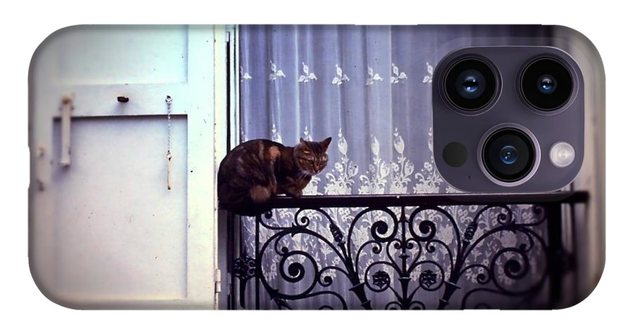 Vintage Travel Cat on a French Balcony 1967 - Phone Case